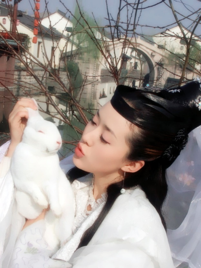 肖战,《陈情令》肖战王一博抱兔子,与众女星相比各有千秋,你最喜欢谁
