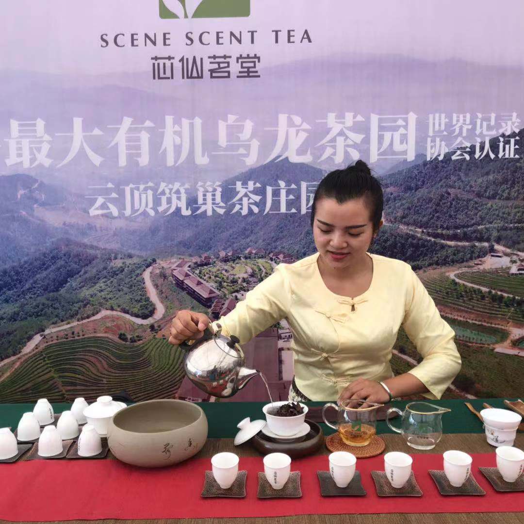 醉在临沧 醉在2019云南临沧"天下茶尊"茶叶节