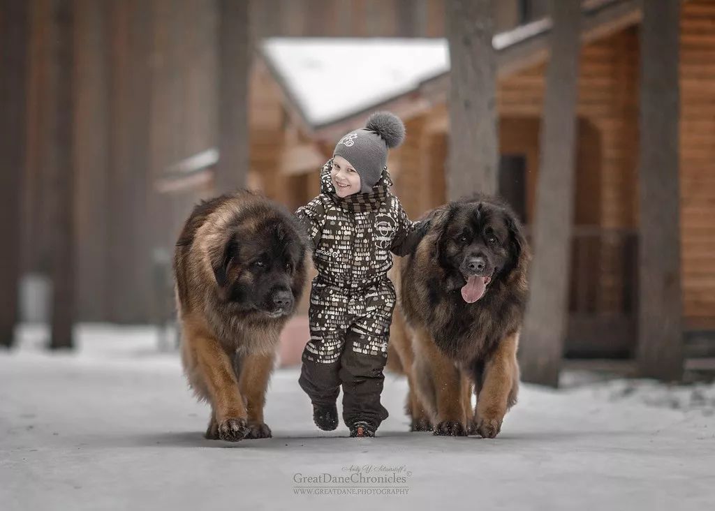 摄影欣赏小朋友和狗狗亲密无间的友情冬春