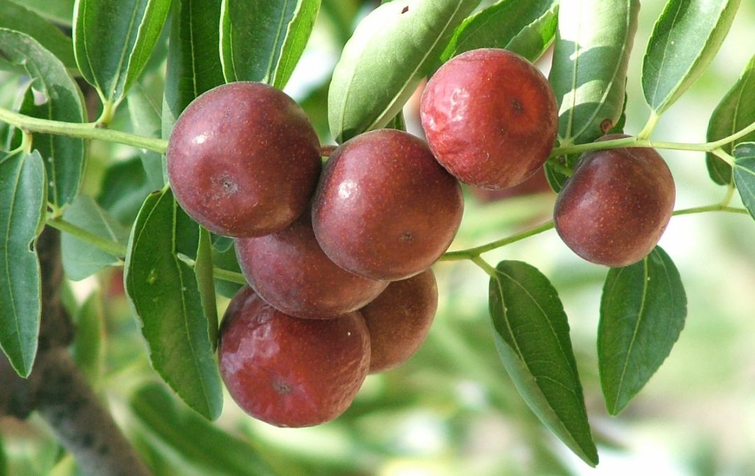 to全世界:灵宝向您发来一封邀请函,请亲启!