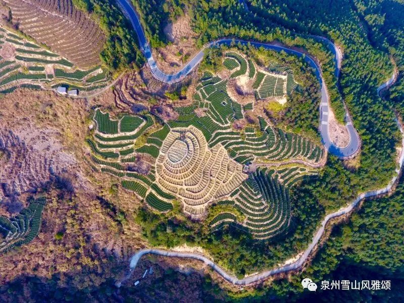 村永春县达埔镇汉口村2019年度福建省乡村旅游村永春县仙夹镇山后村为