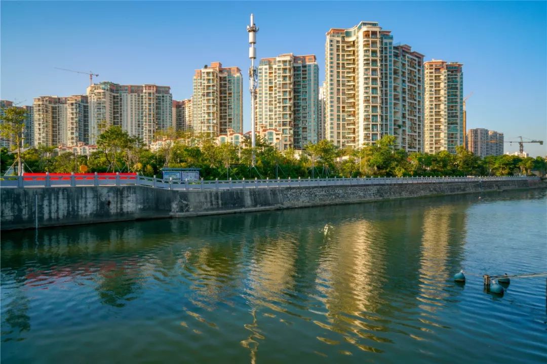 宝安水经注新安堤岸拂绿花红临水河流让城市更灵动内附福利