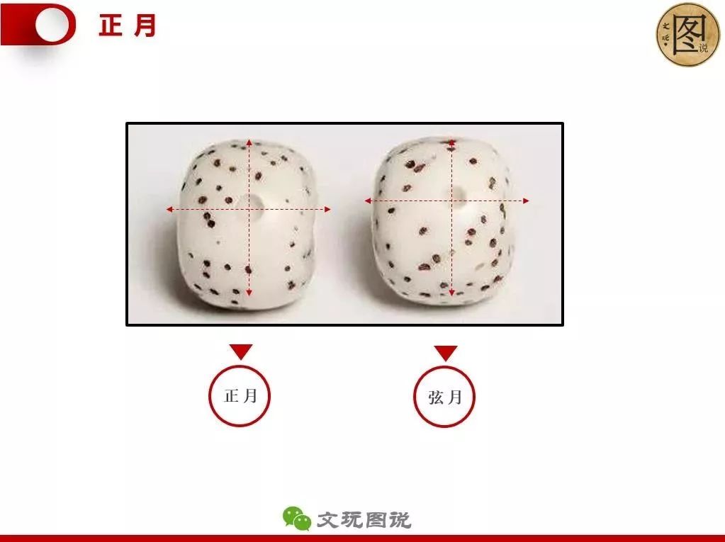 图说丨星月菩提什么样的星月好如何盘玩星月一图看懂