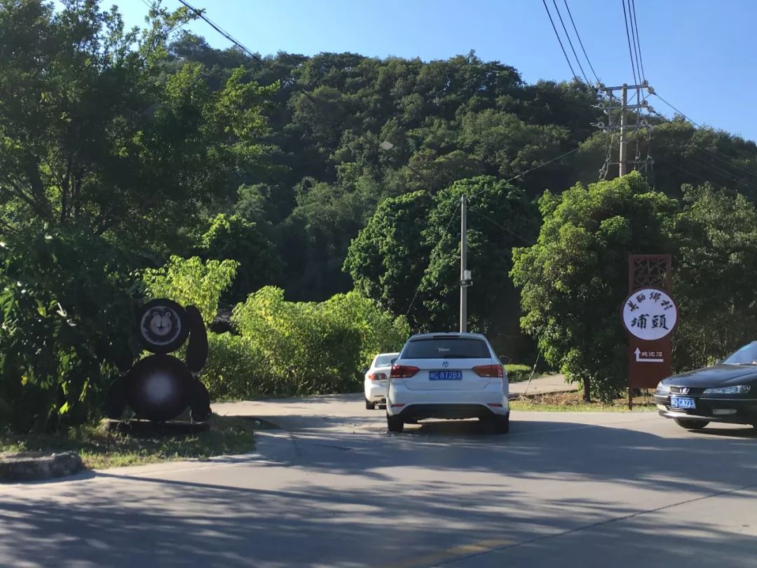 就在明天永春五里街镇埔头村中国农民丰收节来啦游玩攻略奉上还有特色