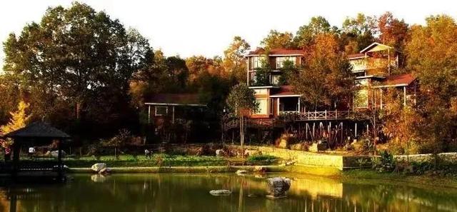 木屋为舍丨九路寨木屋别墅 开启童话度假模式