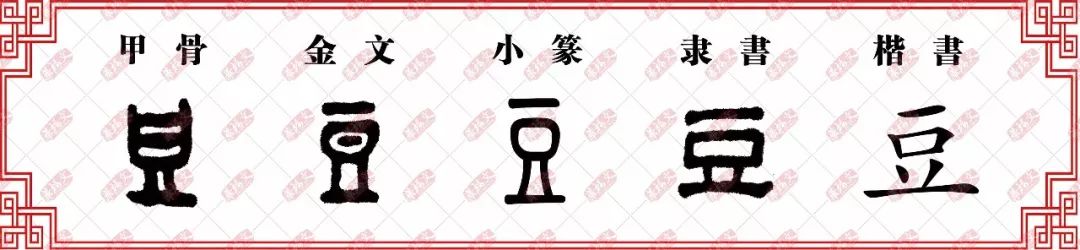 【双法字理】豆:豆蔻年华