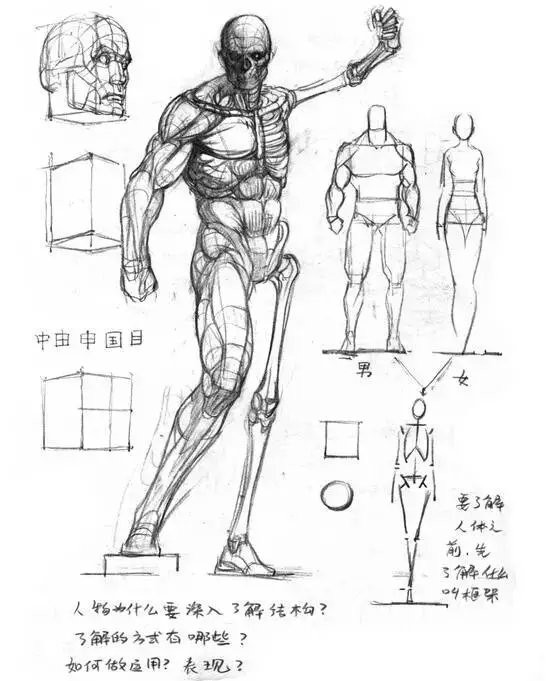 海寧素描培訓速寫人體結構繪畫教程