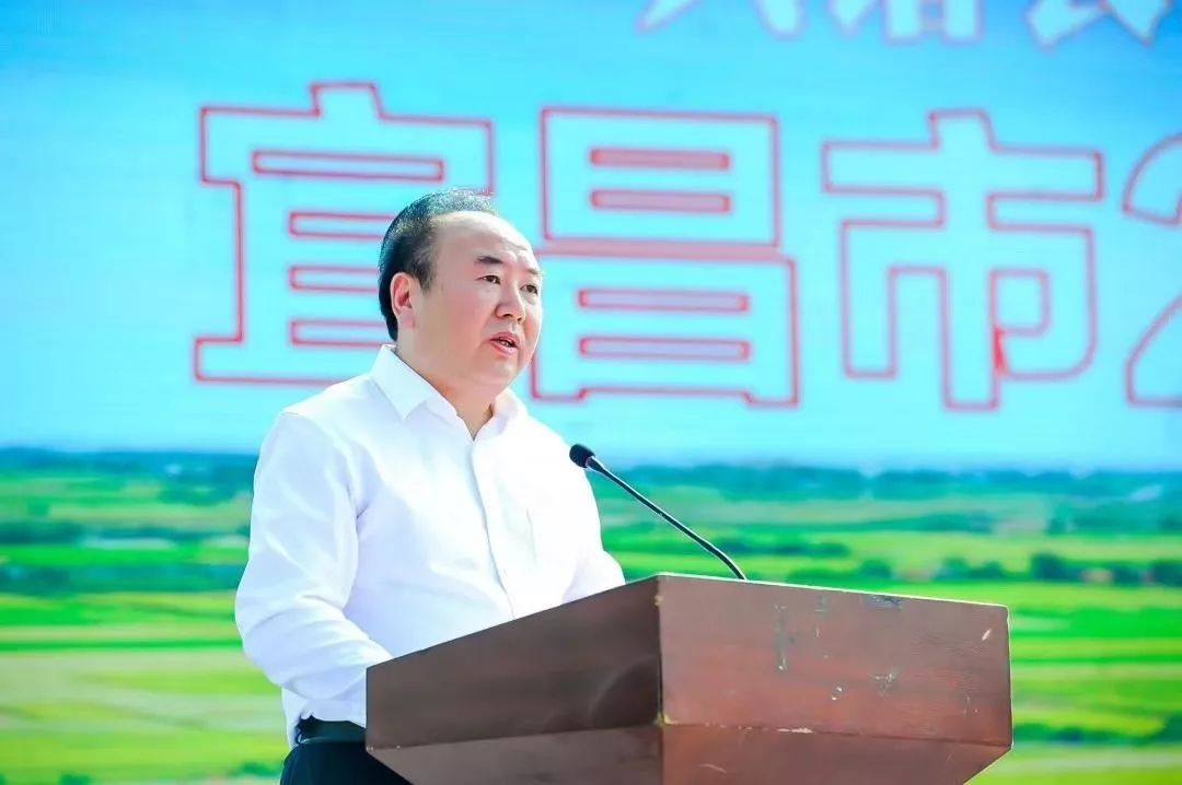 2019年中国农民丰收节,咱宜昌这样庆祝._枝江市