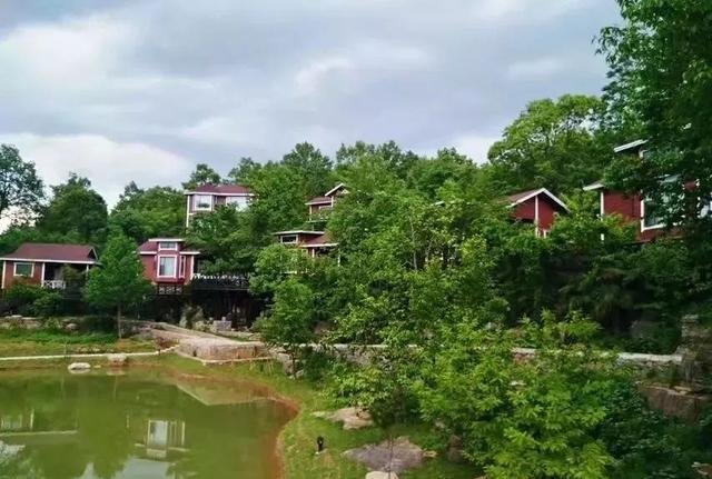 木屋为舍丨九路寨木屋别墅 开启童话度假模式