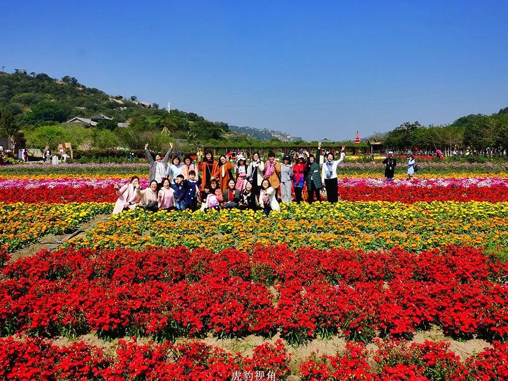 周末秋游好去处,打卡网红圣地_花海