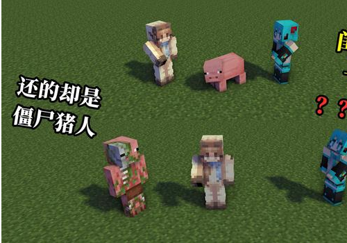 我的世界mc玩家求助闺蜜将宠物猪变成僵尸猪人