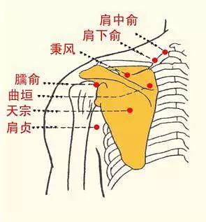 七穴位缓解肩部酸痛