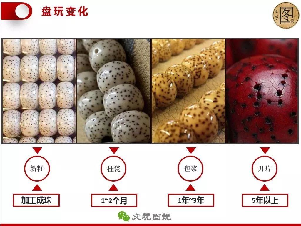图说丨星月菩提;什么样的星月好?如何盘玩星月?一图看懂_文玩