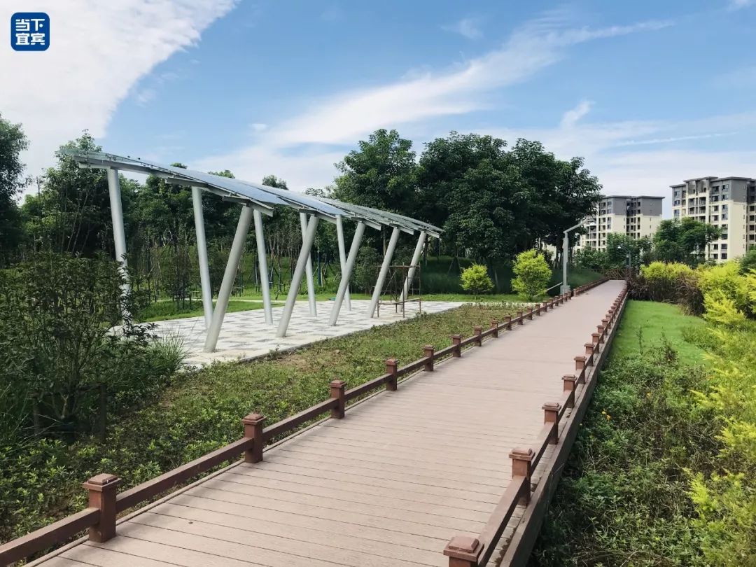 藏不住了4个亿的宜宾城市中央公园大变脸拍照太美了位置就在