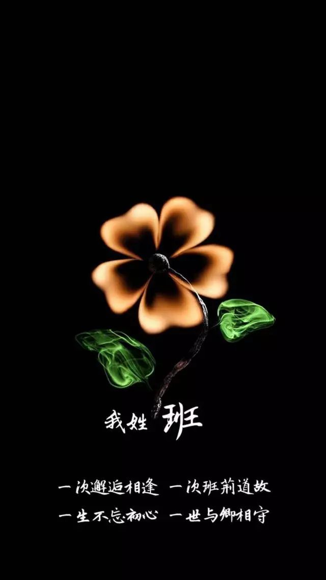你多久没换壁纸头像了,来了就领走一张吧.(姓氏壁纸头像)