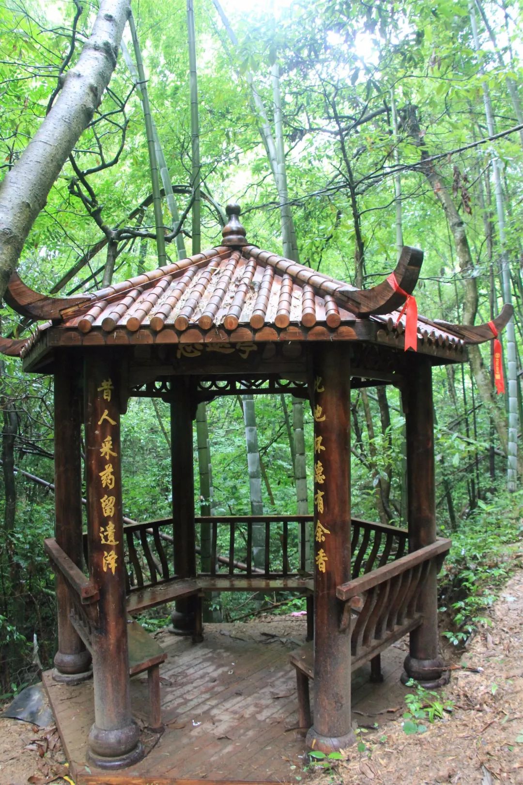 景点:十里长亭打卡点2一步一景,步移景移与两旁的山川石脉形影相随