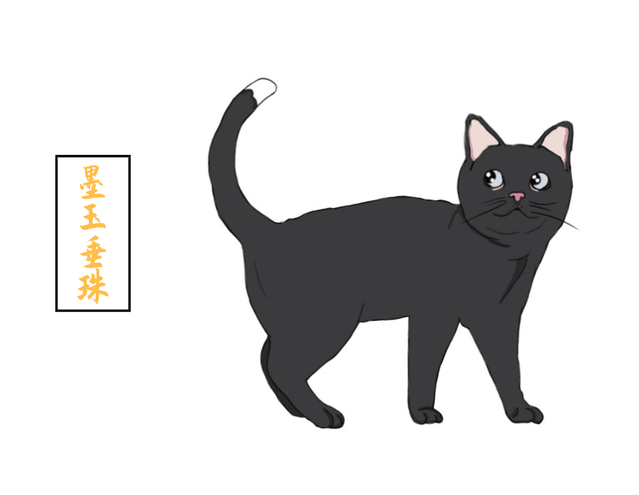 你的猫在古代叫什么名字?