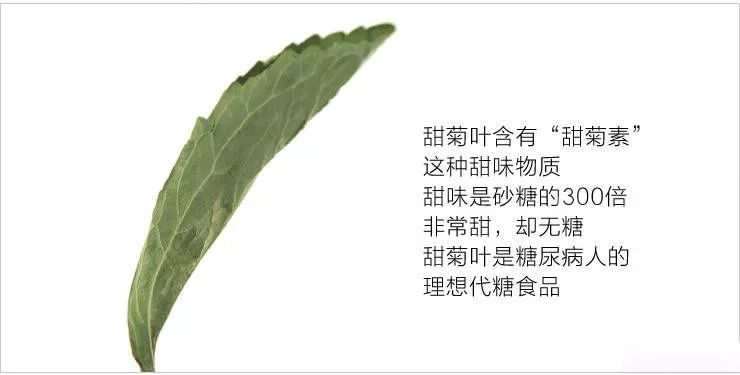 而"甜菊素"是从甜叶菊的叶子中提取所得甜味物质,精制的甜菊素是无色