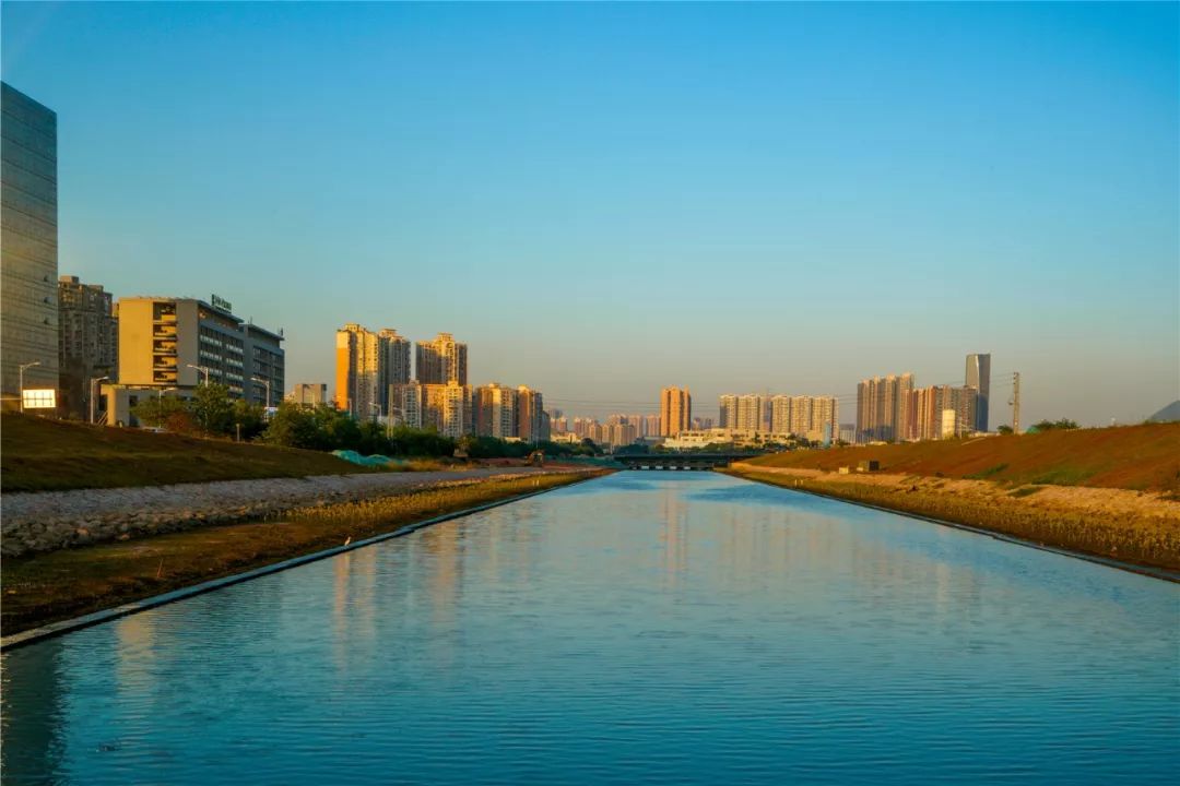 宝安水经注新安堤岸拂绿花红临水河流让城市更灵动内附福利