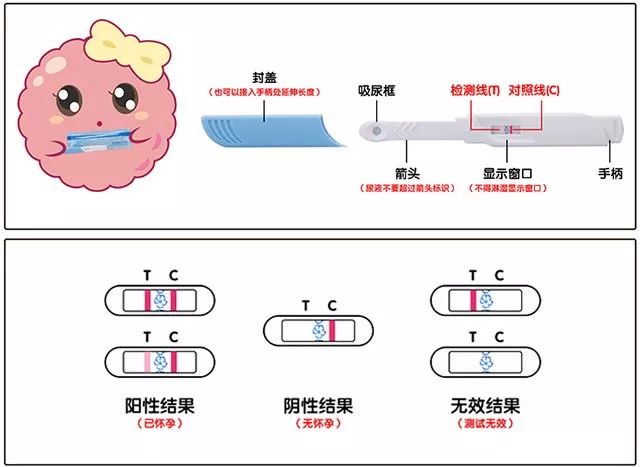 女性健康验孕棒两条杠就怀孕了不懂这些有可能空欢喜一场