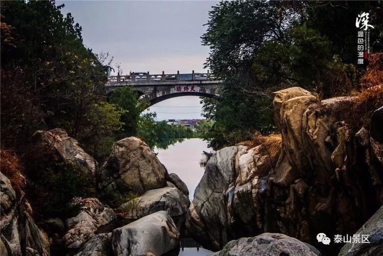 岱桥】【黑龙潭的桥】【泰山大众桥】【泰山长寿桥】【泰山之巅的桥】