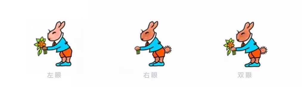 你真的了解视功能检查