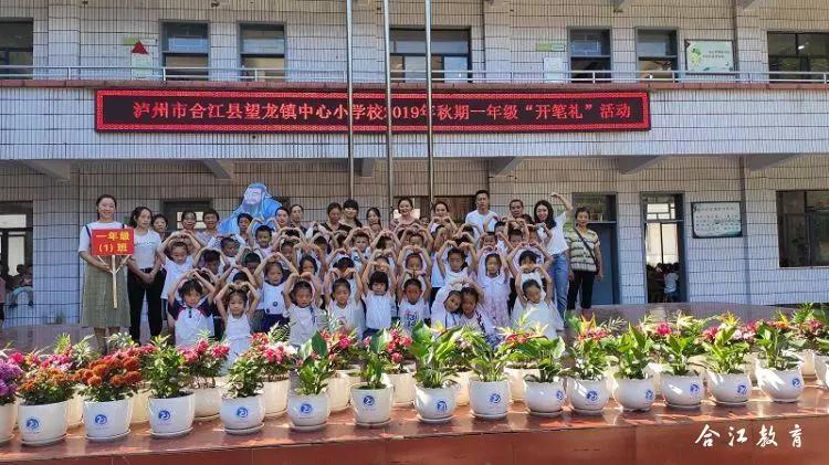 望龙镇中心校合江镇流杯池小学合江镇红卫小学合江镇中心校泸高分校