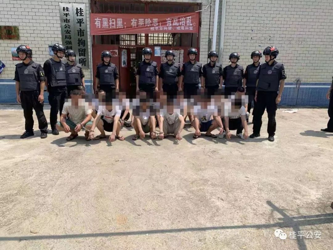 15人因食用冬虫夏草被桂平警方抓获真相竟是