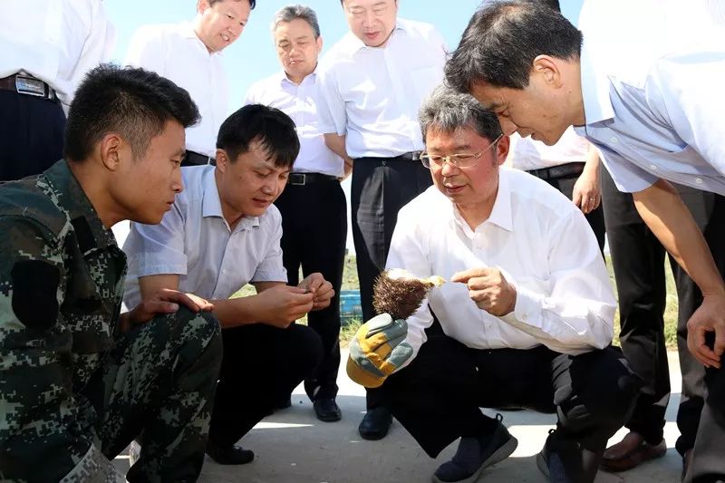马永生到颍上县调研脱贫攻坚工作