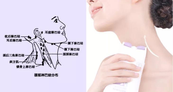 晚上放松,上班间歇,用它 按摩颈部淋巴结,既能缓解疲劳,又能疏通排毒