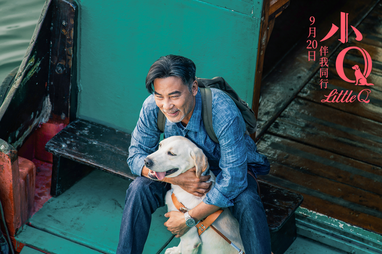 电影《小q》热映口碑绝佳 "寄不出去的信"番外篇暖心来袭