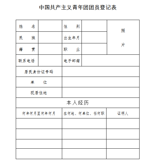 团员表是什么样子的图片