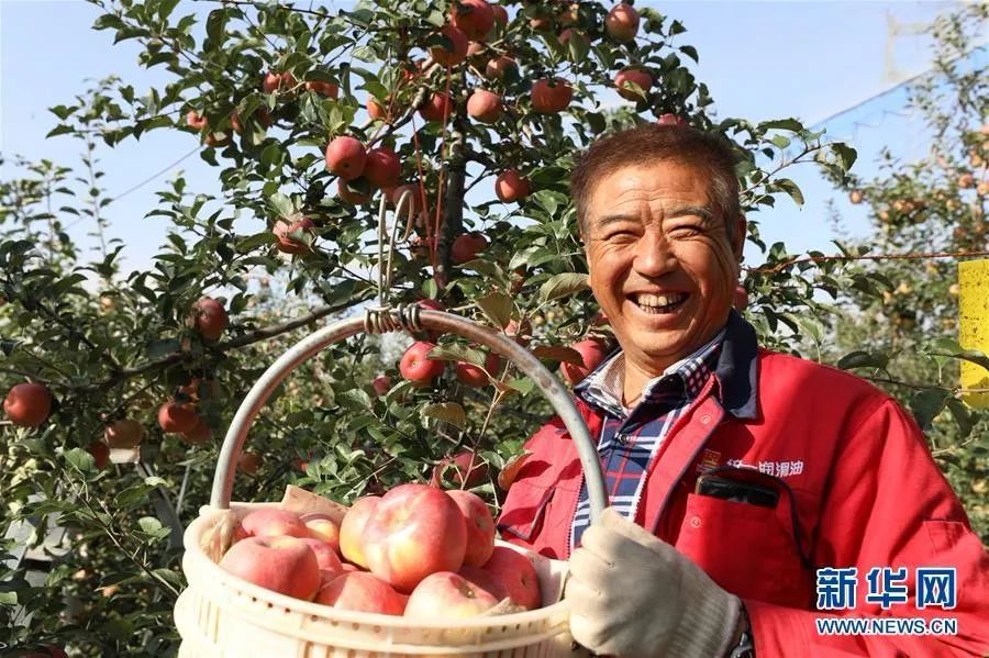 变化太大了今日秋分30张照片话丰收展示几十年来巨变