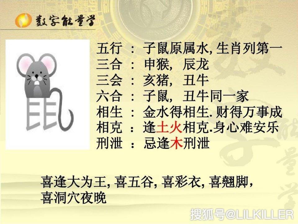 原创生肖揭秘一属鼠人专属密码关于婚恋财运性格分析