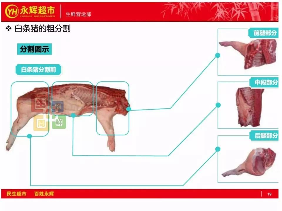 猪肉分割方法步骤图片