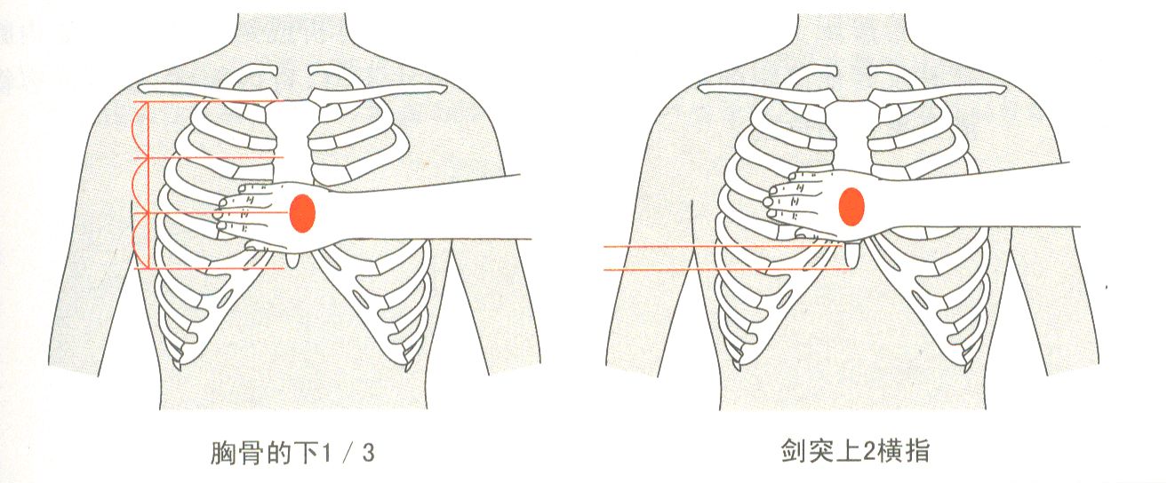 胸外按压部位位置图片