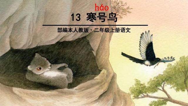 寒号鸟是鼠类,古人称其"凤凰不如我",不是课文里学过的样子_课本