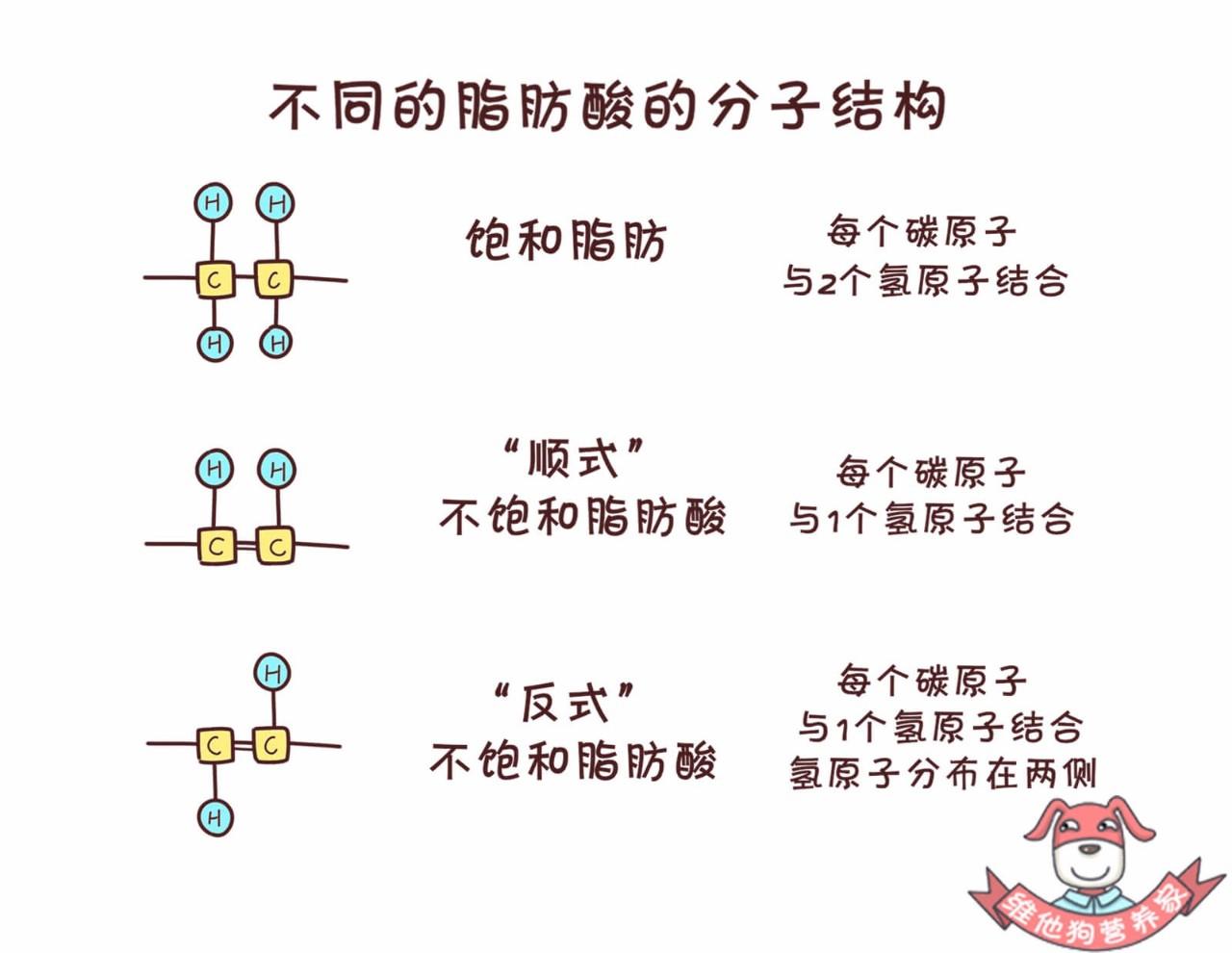 从天然的顺式结构,异变成了反式结构,也就是今天说的反式脂肪酸