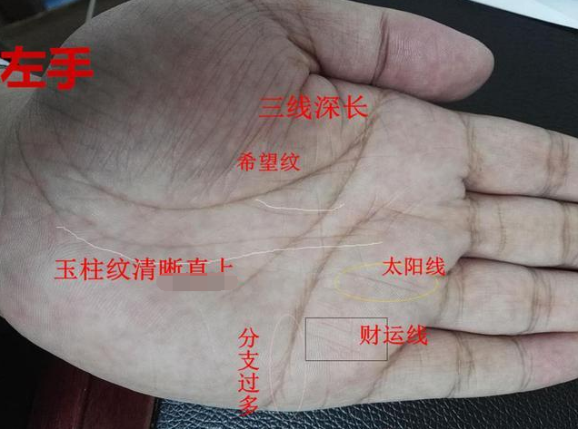 第四,右手希望纹和三角纹明显,一生不断钱财,后运相对平顺.