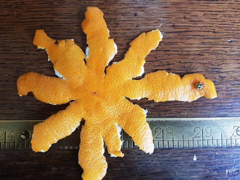 秋天多补维c,吃这种水果,一个等于五味药_橘皮