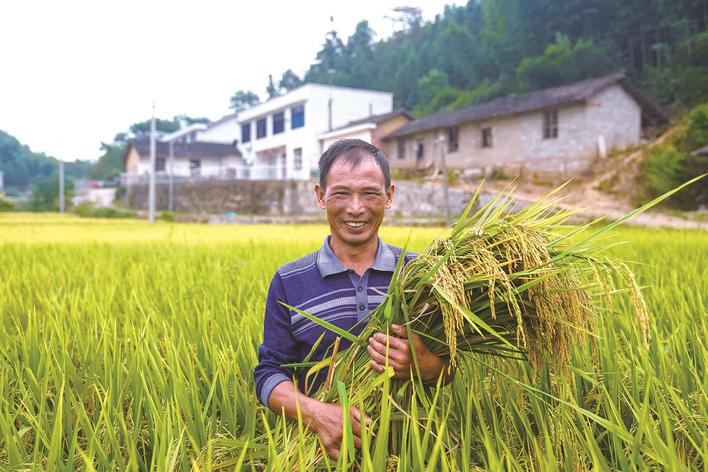 今日是第二个中国农民丰收节长沙县农人喜获丰收