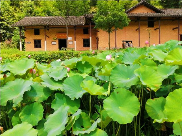 瞻仰著名杰出红军将领"黄公略故居 "——这里风景美如画