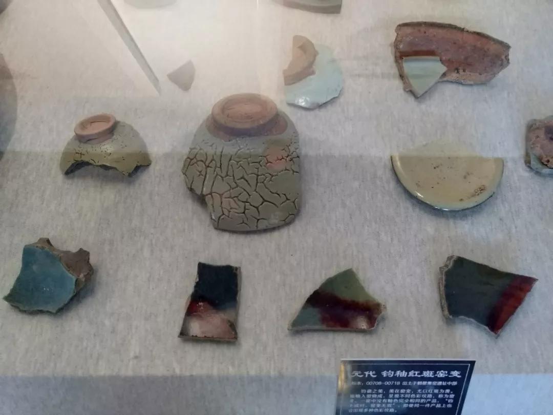 瓷器杂项鉴定专家赵峰原名赵建华走进鹤壁窑博物馆分享鹤壁瓷窑文化