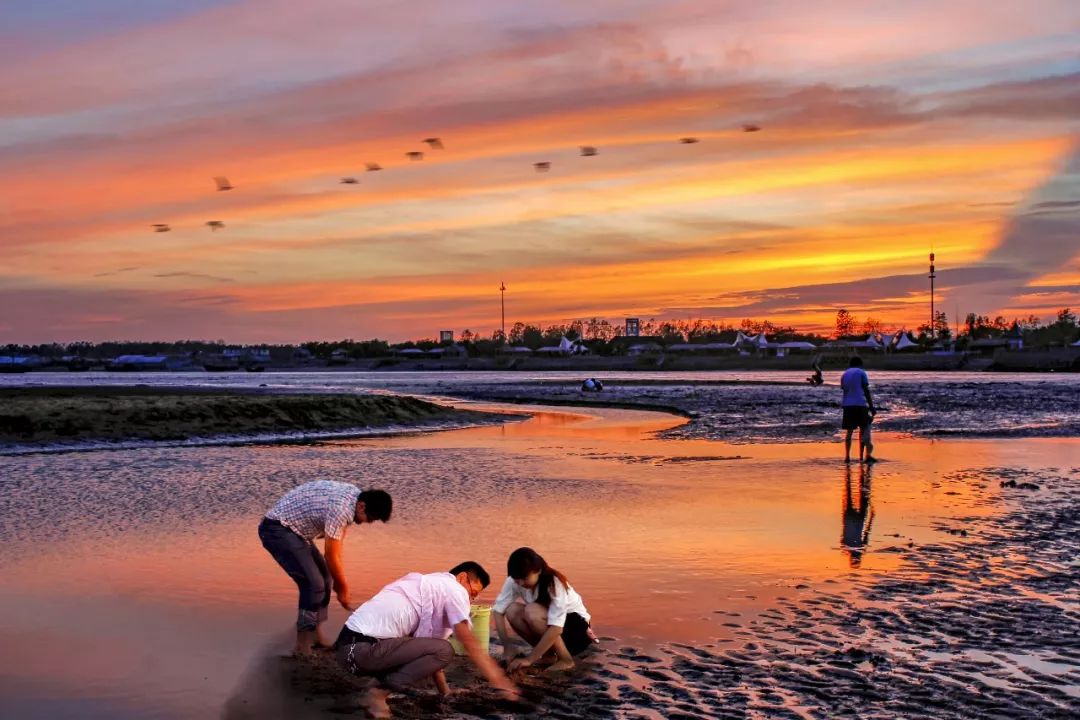 第十二届中国日照赶海旅游节重磅来袭
