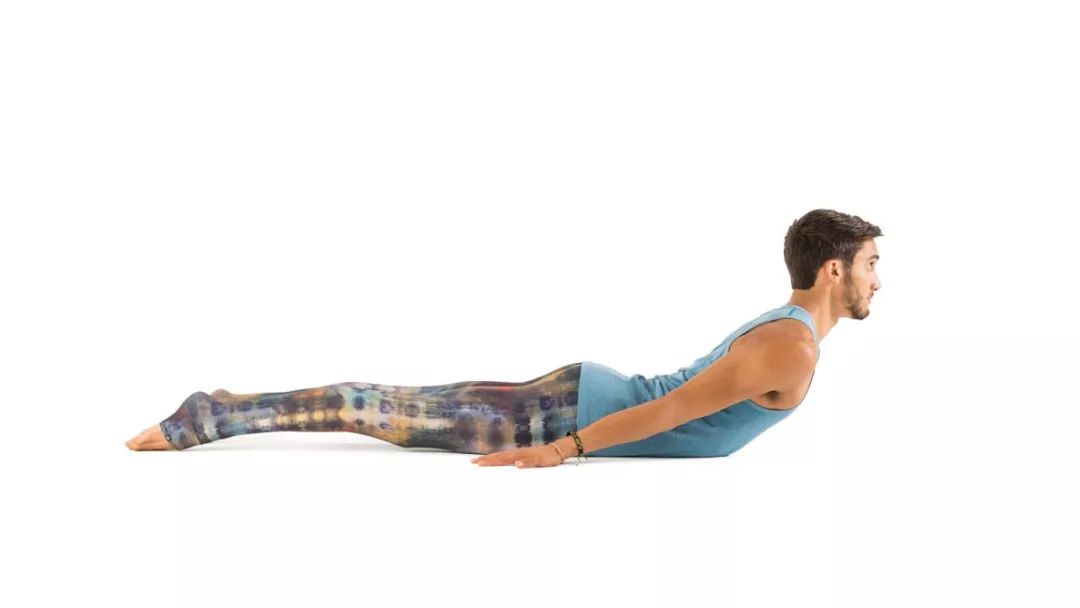 体式精讲半青蛙式蝗虫式