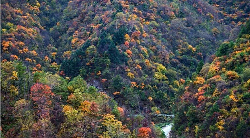 秦岭最美的地方今天就带大家看一下10月里出门旅游的最好季节一年中