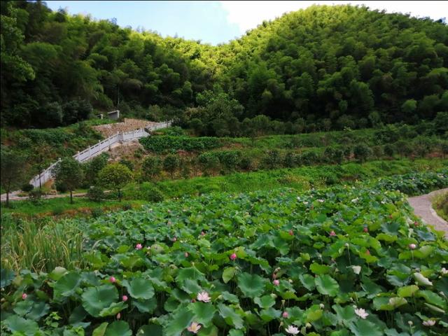 瞻仰著名杰出红军将领黄公略故居这里风景美如画