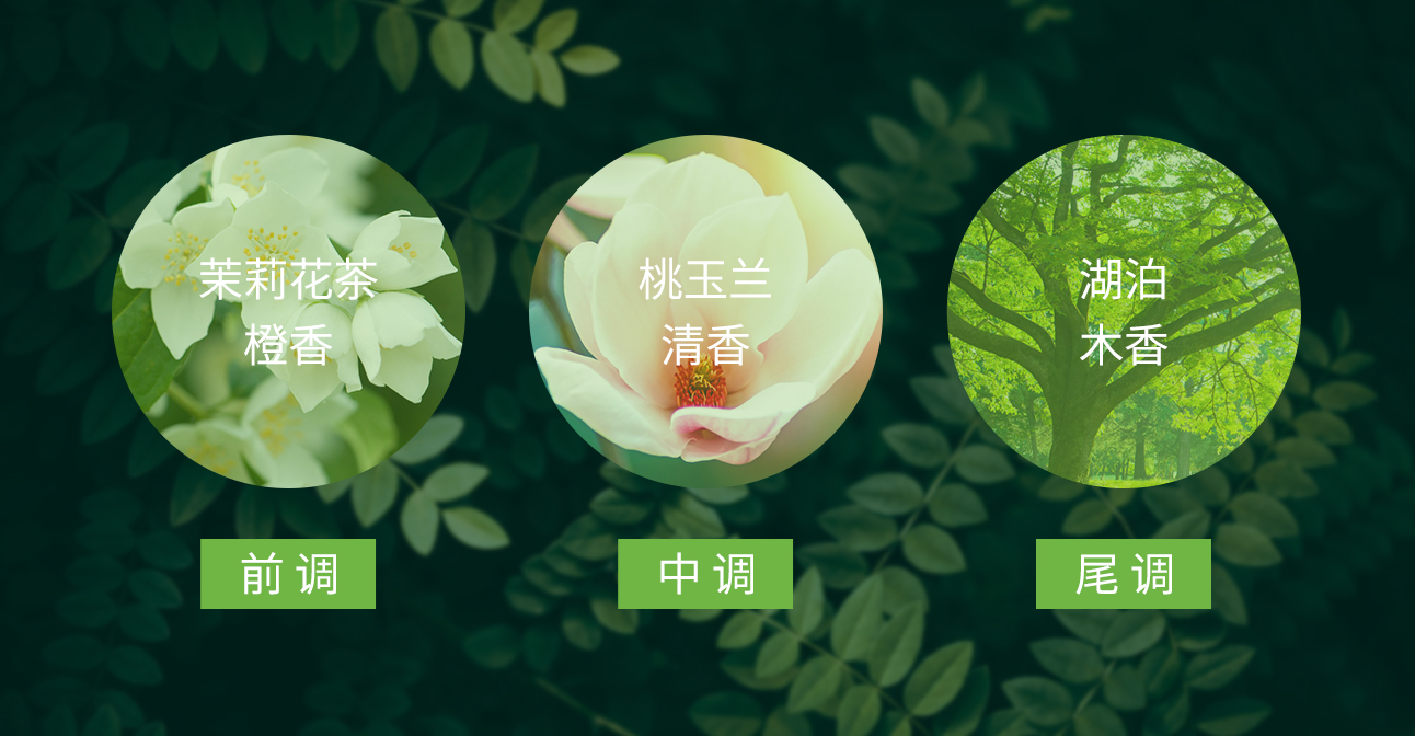 蜜植素沐浴露99的人都顶不住这魂牵梦萦的体香