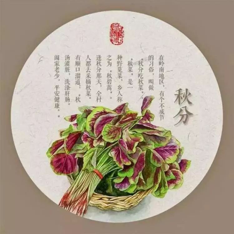 秋分:愿生活,恰如其分