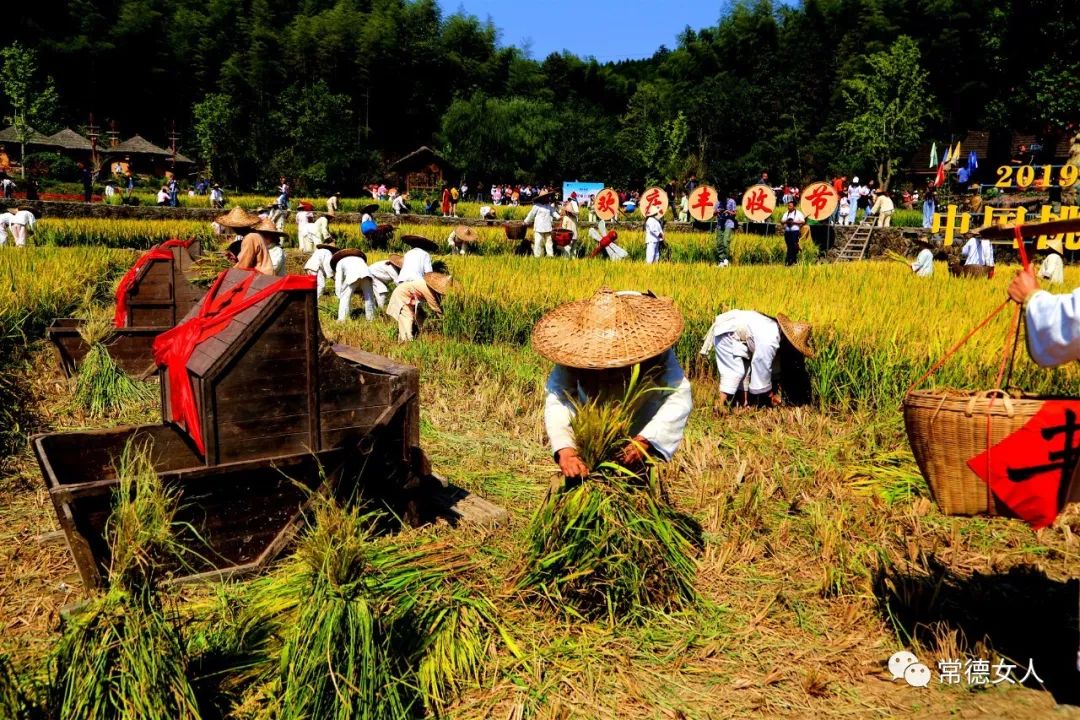 春华秋实五谷丰登中国桃花源农民丰收节隆重开幕